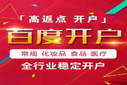 低成本高回报：百度竞价代理成功案例分析